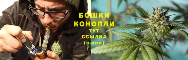 трава Беломорск