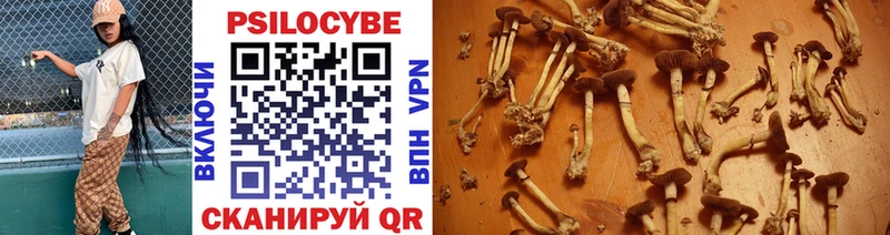 Галлюциногенные грибы Magic Shrooms  darknet формула  Киселёвск  где продают наркотики 